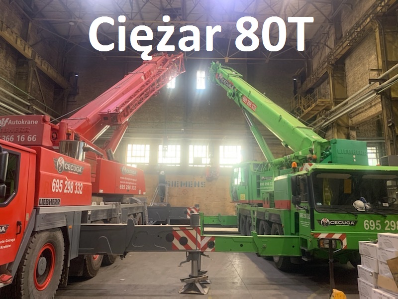 Dźwigi Cecuga — realizacja 19